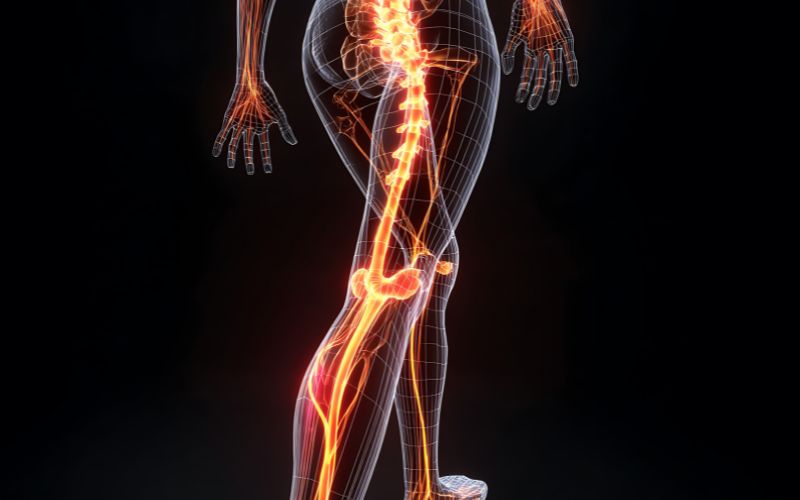 Signs Your Office Chair Is Giving You Circulation Issues